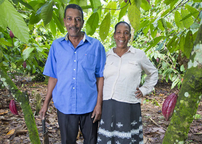 Cacao farmers standing among cacao trees, representing ethical sourcing and direct relationships with ingredient growers
