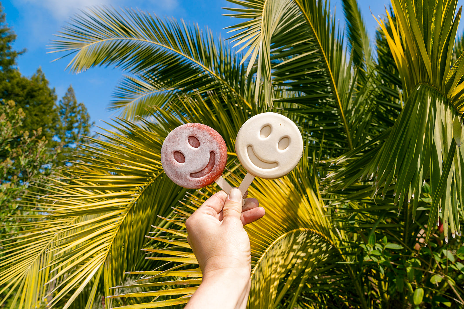 Two smiley-face frozen desserts held up in front of palm trees