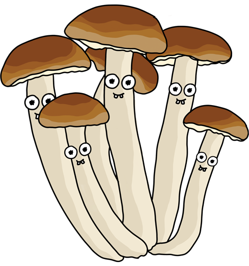 Illustration of cluster of fresh mushrooms growing together with light-colored stems and caps with buck teeth