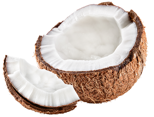Fresh cracked coconut showing white flesh and brown shell