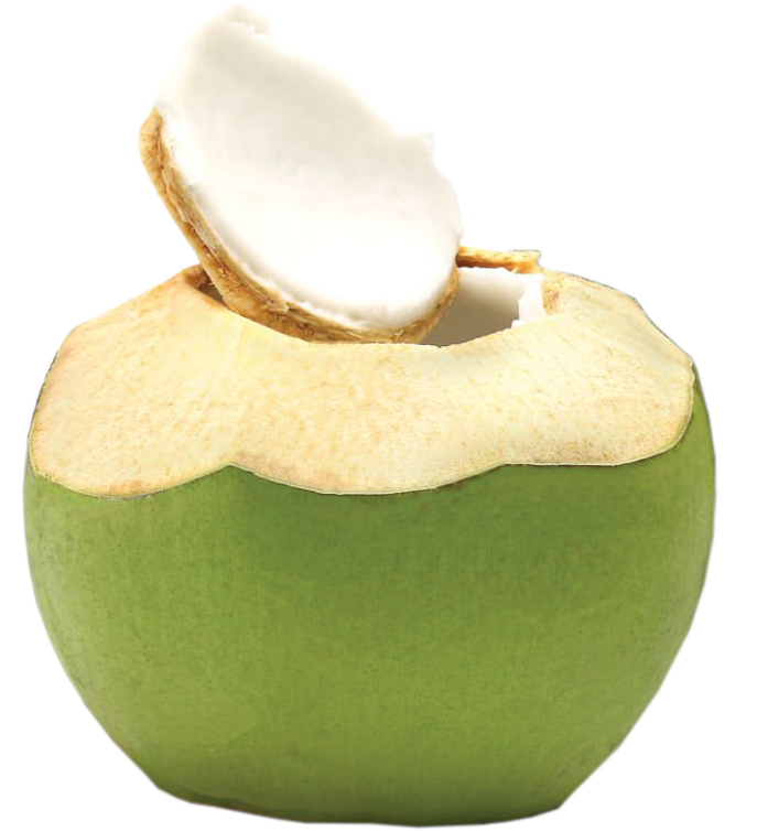 Fresh green coconut with a white interior