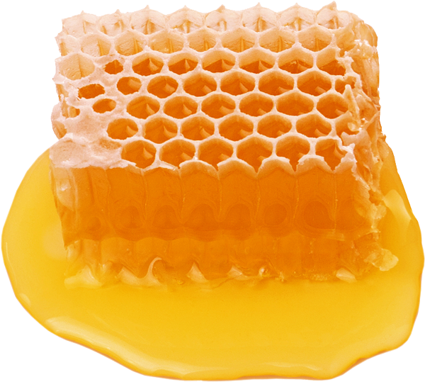 Golden honeycomb dripping with raw honey in close-up detail