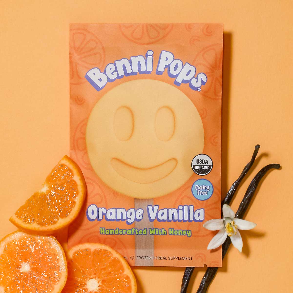 Benni Pops Fudge frozen dessert in compostable packaging, featuring a chocolate smiley-face treat handcrafted with honey and rich cocoa, dairy-free and USDA organic