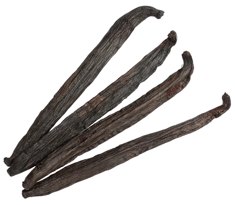 Whole vanilla beans arranged together